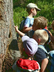 Silbertaler Waldschule im Montafon